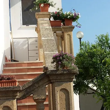 Frantoio Ninu Gallipoli