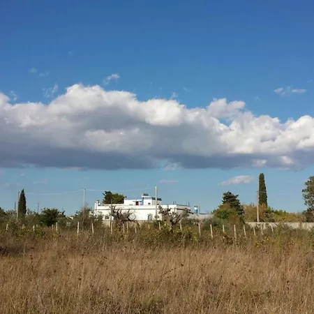 Frantoio Ninu Gallipoli