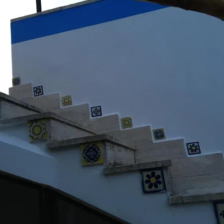 Frantoio Ninu